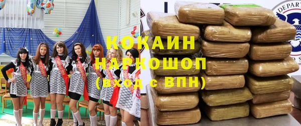 прущий лед Алзамай