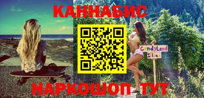 прущие грибы Будённовск