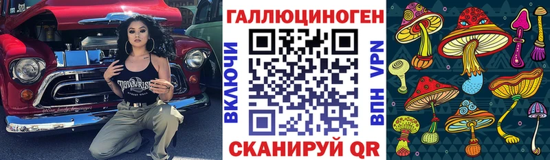 где купить наркоту blacksprut Галлюциногенные грибы Psilocybine cubensis Кизилюрт