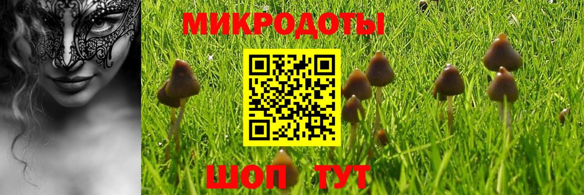 Псилоцибиновые грибы Cubensis  Вход с VPN  где продают   Кизилюрт 